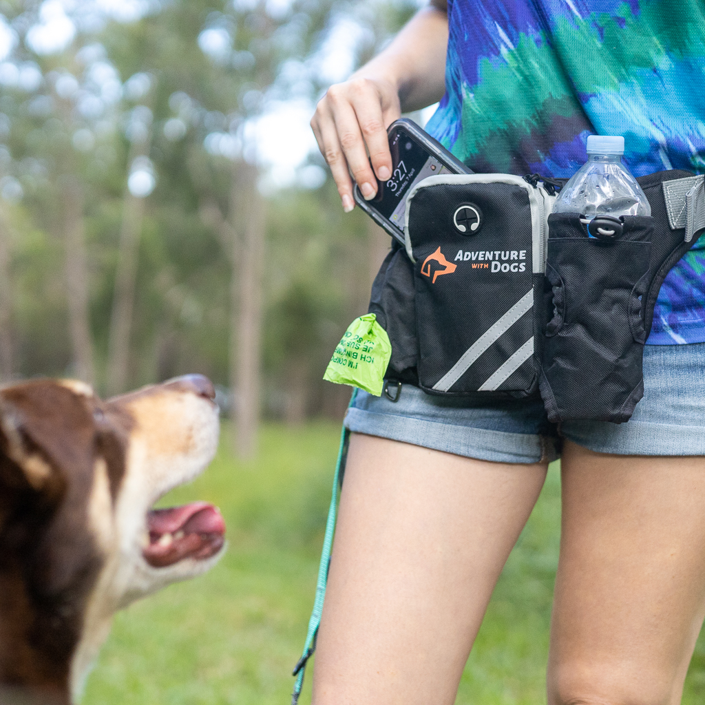 Ultimate Hands-Free Running Kit - Adventure With Dogs