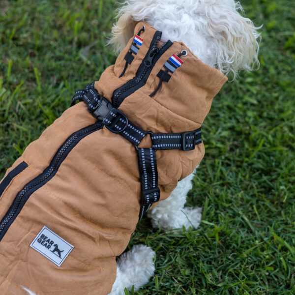 Extreme Dog Jacket with Harness - Adventure With Dogs